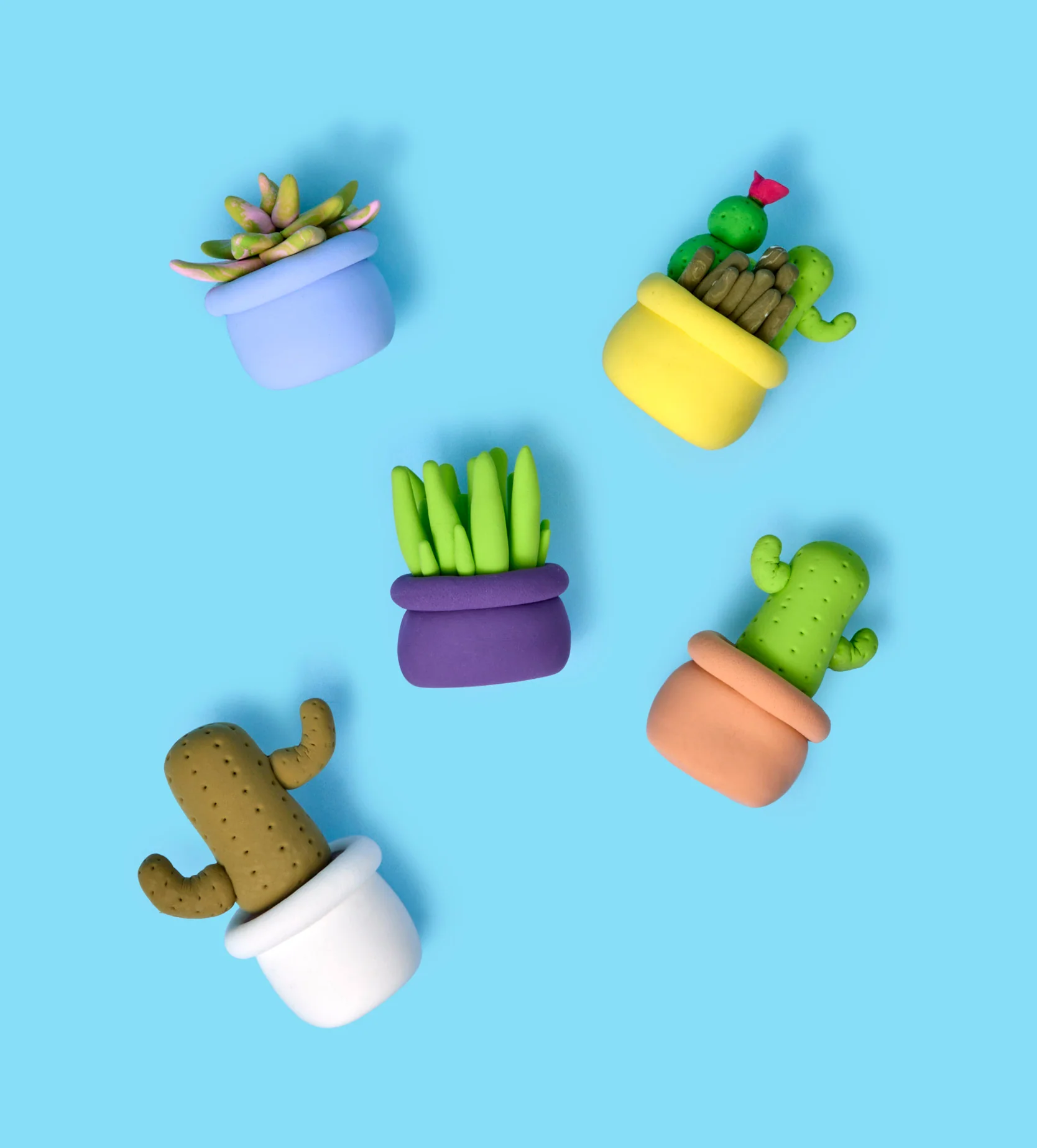 Buds & Blooms: Cacti Trio - Image 11