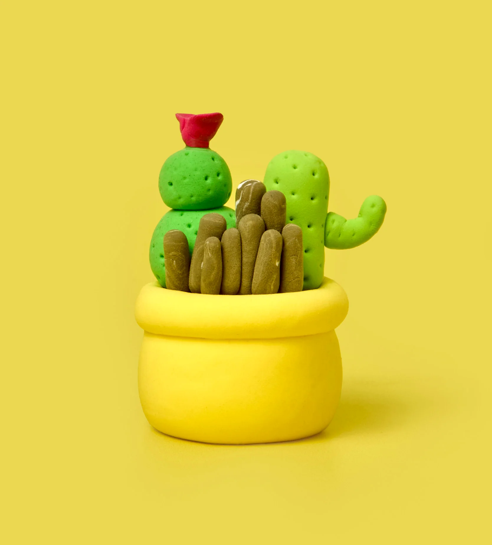 Buds & Blooms: Cacti Trio - Image 8