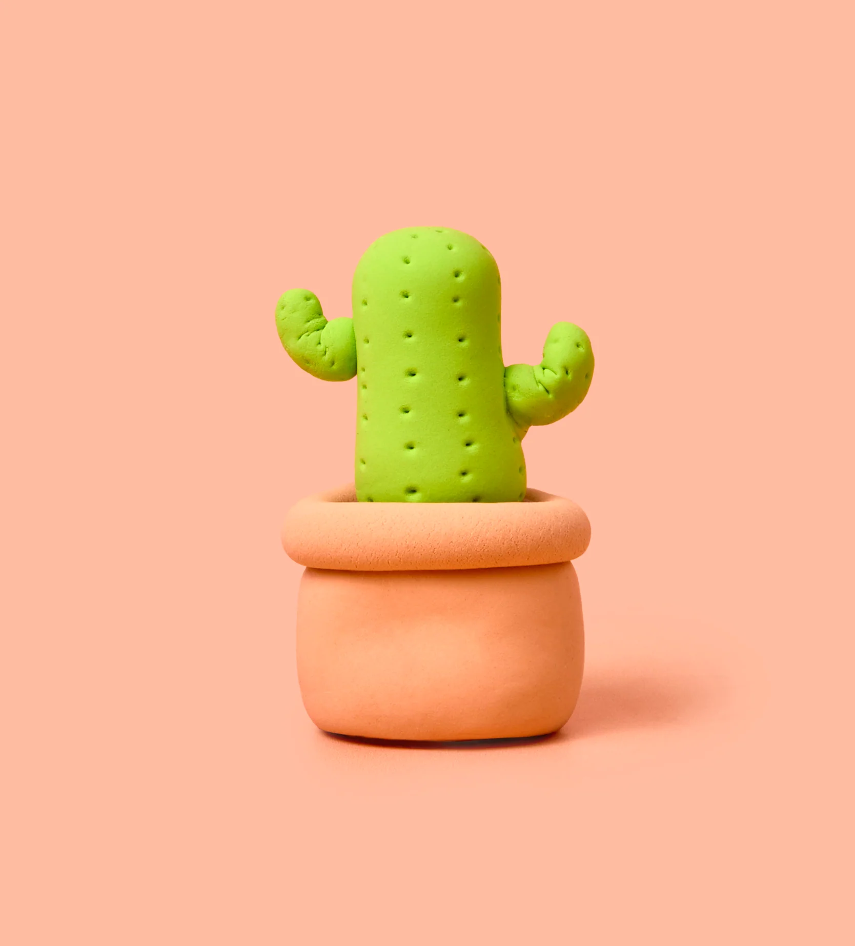 Buds & Blooms: Cactus - Image 8