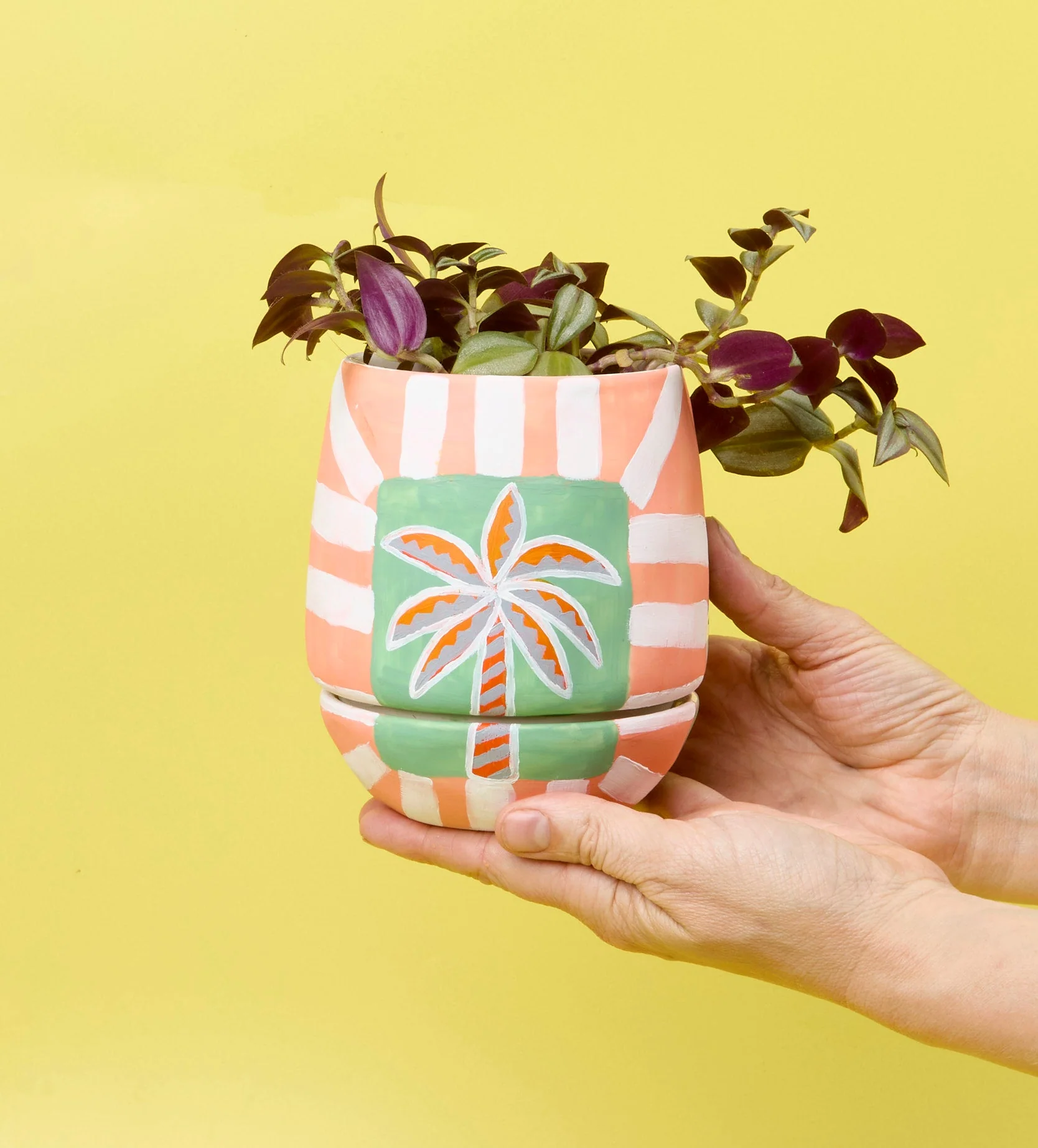 Paint-a-Plant Pot - Image 7