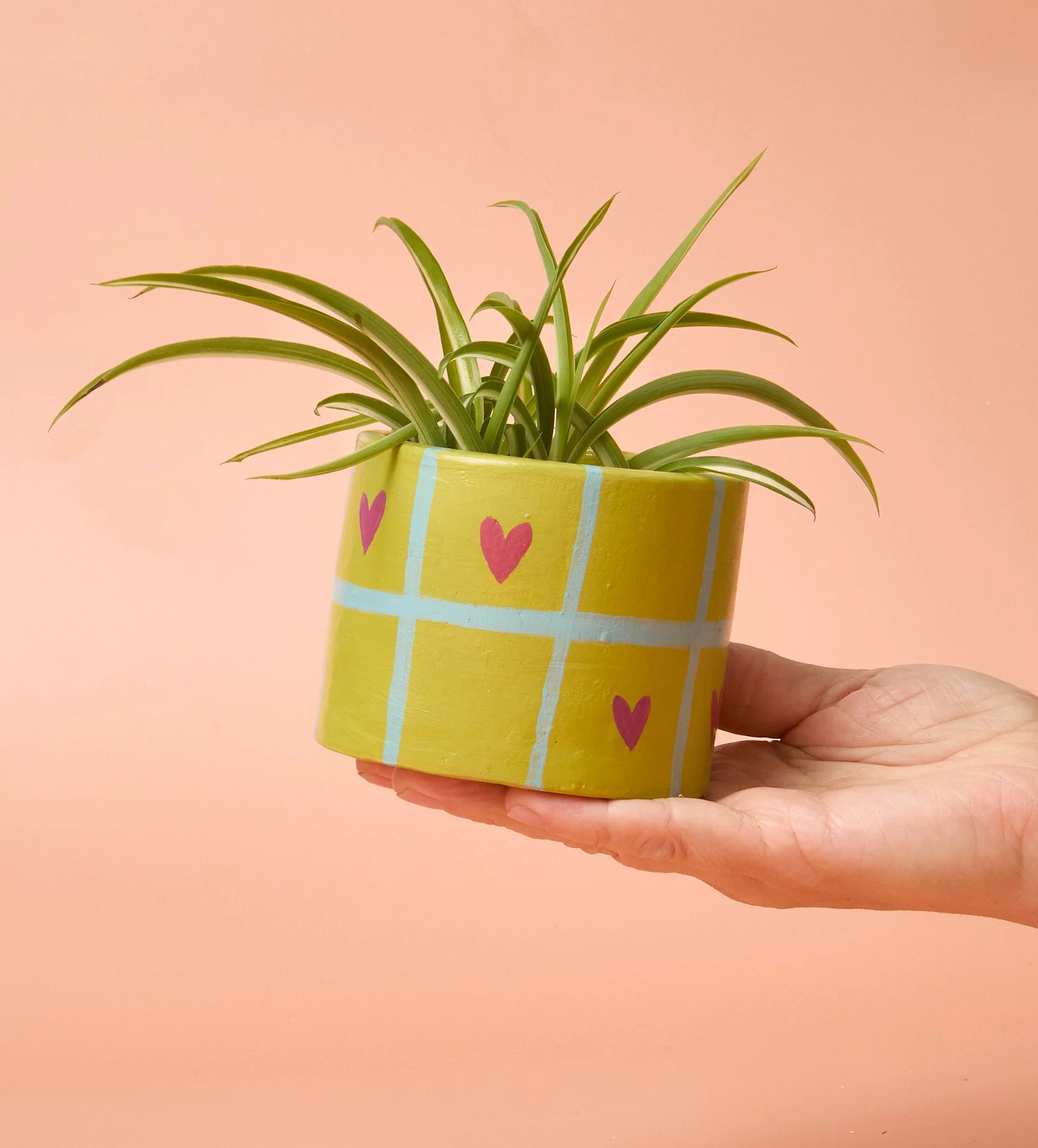 Home Pottery Kit - Image 61